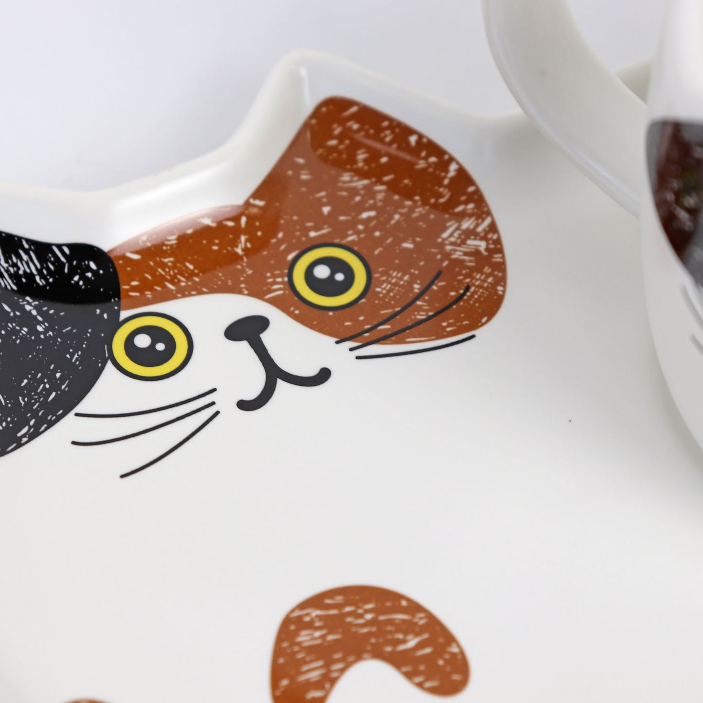 close up of calico cat saucer