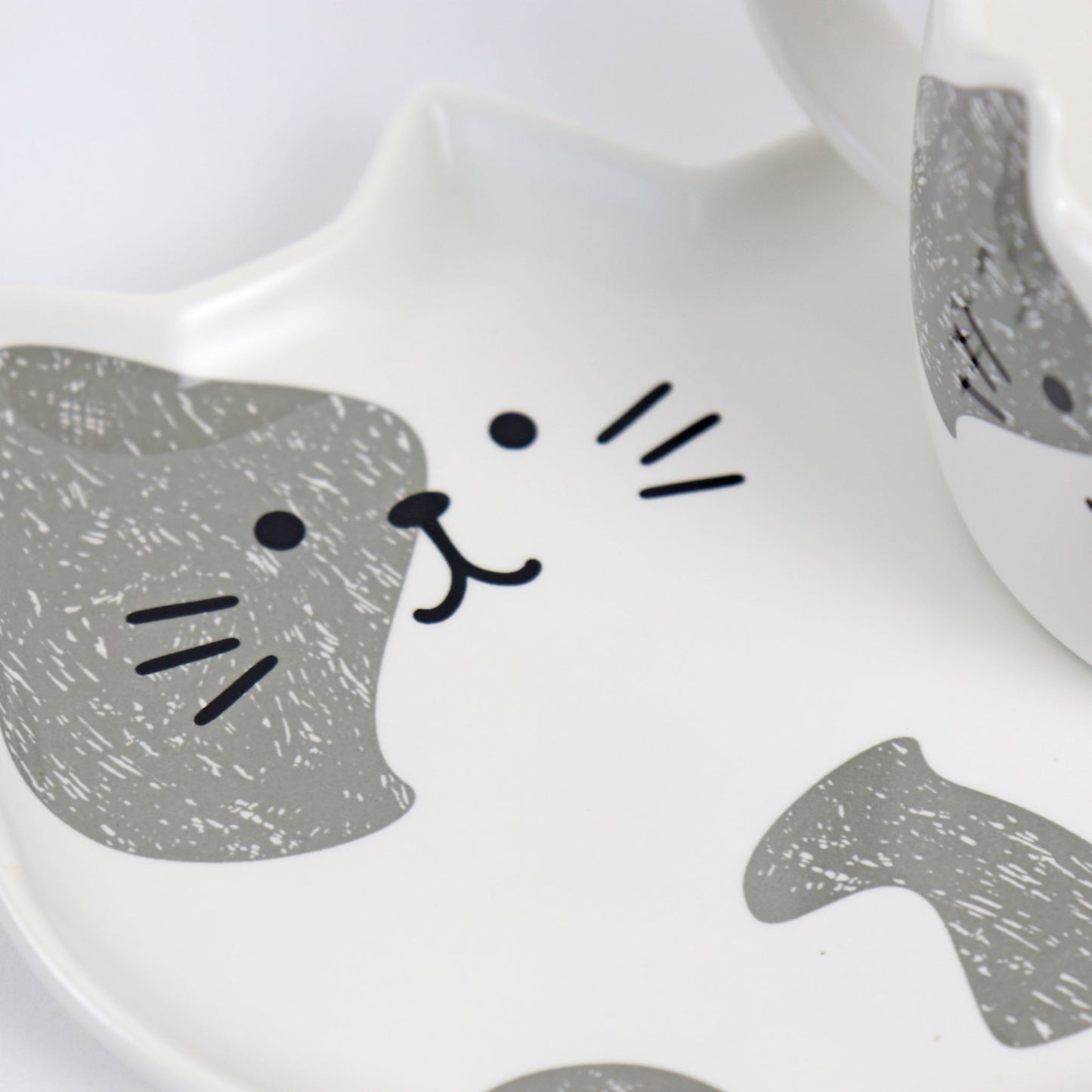 close up of grey and white cat saucer