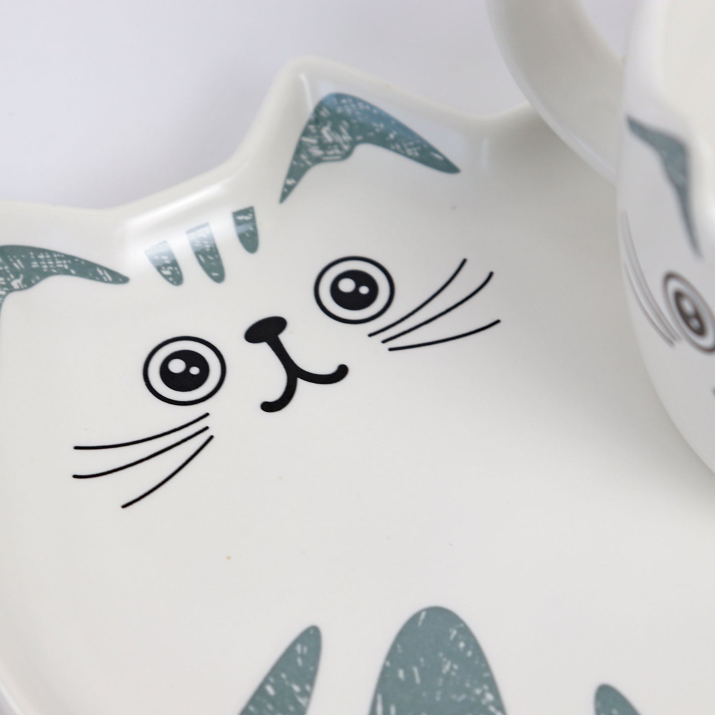 close up of light grey and white cat saucer