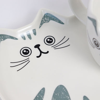 close up of light grey and white cat saucer