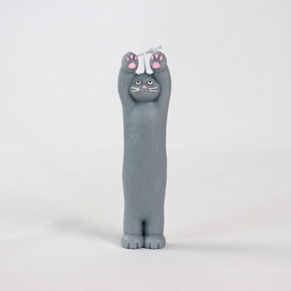 Dark Grey Cat Under Arrest Candle