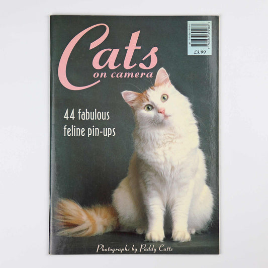 Cats on Camera - Cat Pin-Ups