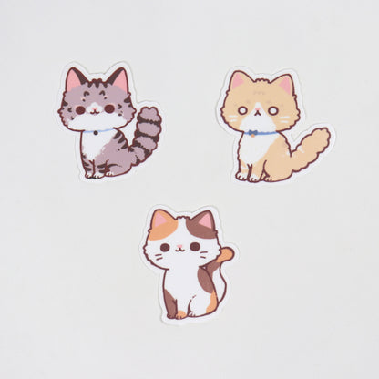 Cream Cat Sticker