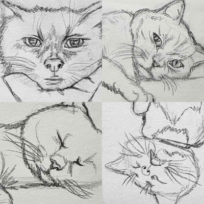 Cat Life Drawing Session with Elle
