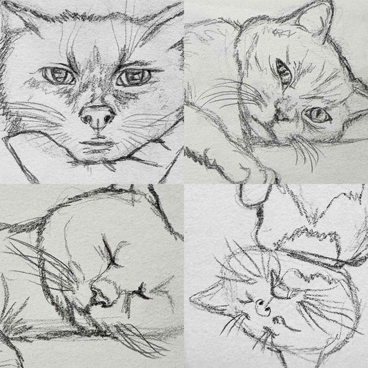 Cat Life Drawing Session with Elle