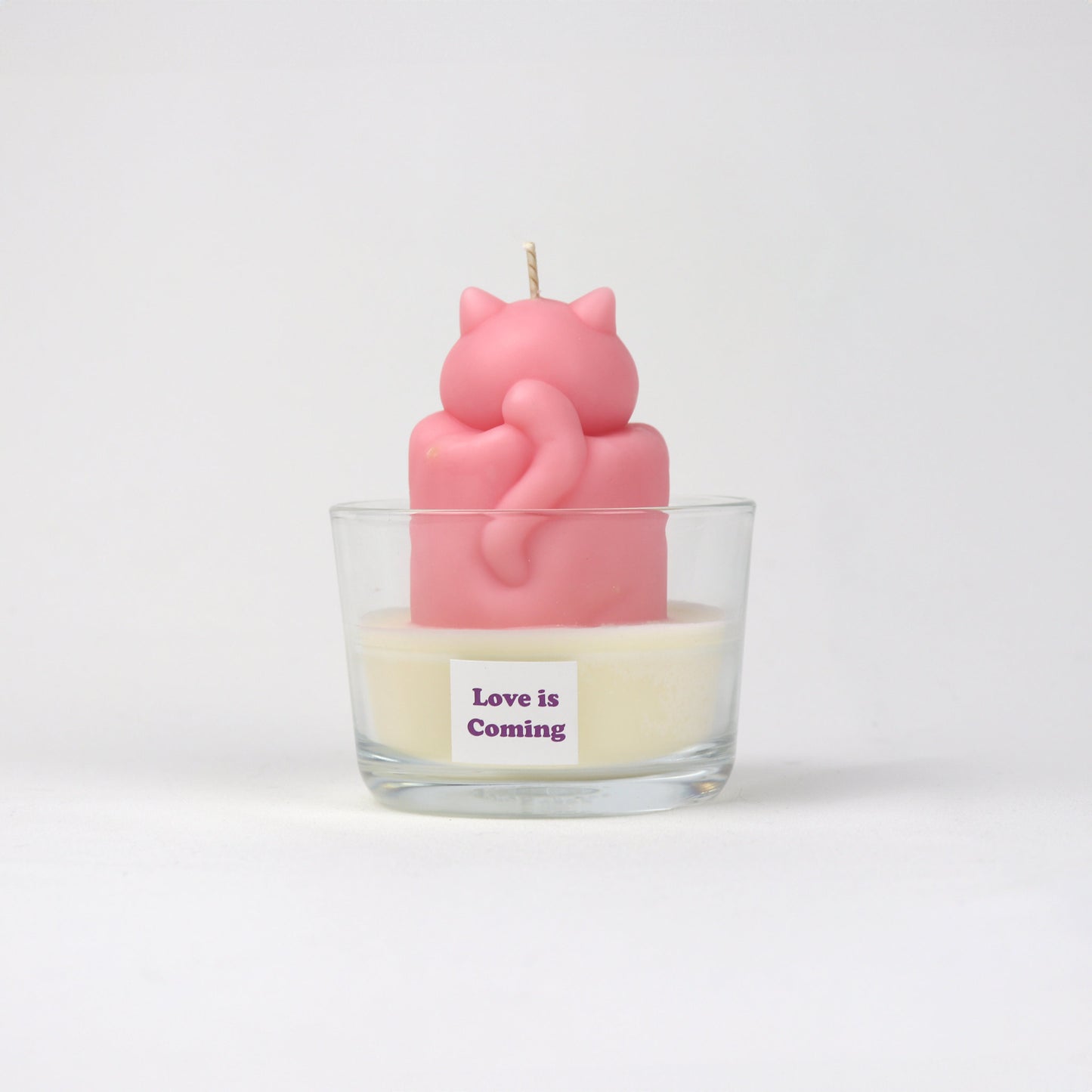 Chonky Cat Candle - Pink