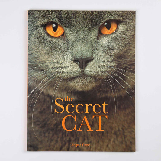 Book cover of 'The Secret Cat' with a close-up of a cat's face and orange text on a white background.